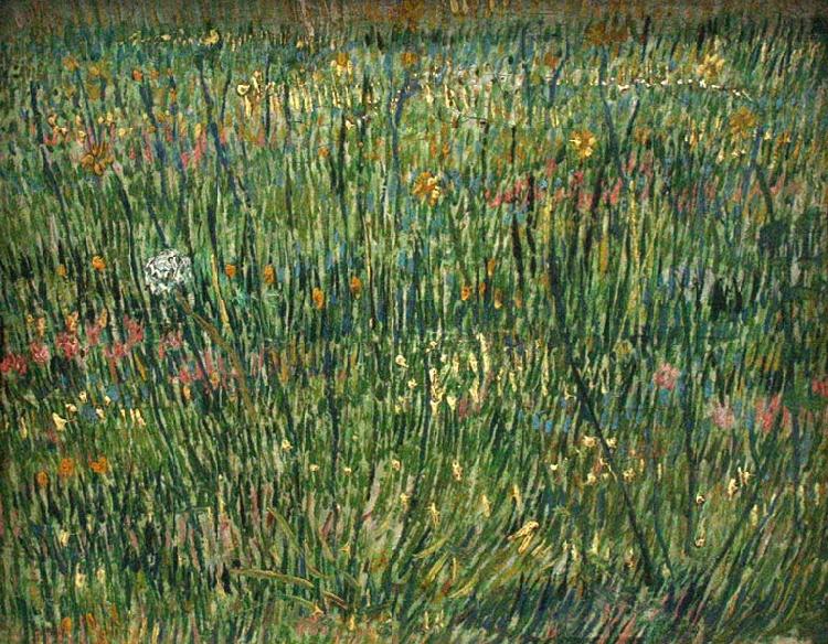 Vincent Van Gogh Patch of Grass china oil painting image